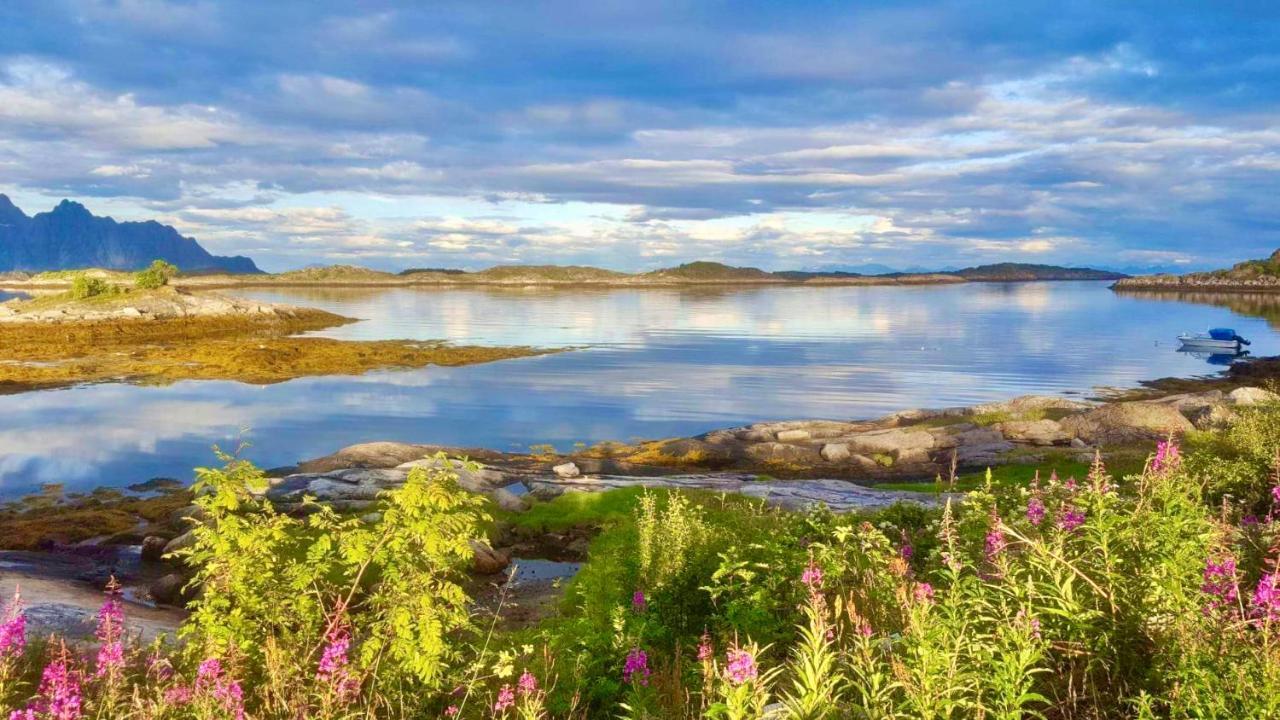 Fishermans Paradise Lofoten Vila Leknes Exterior foto